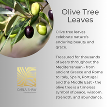 Load image into Gallery viewer, Olive Leaves Brooch