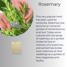 Load image into Gallery viewer, Infographic of the meaning of rosemary