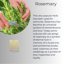 Load image into Gallery viewer, Rosemary MAXI Earrings
