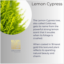 Load image into Gallery viewer, Lemon Cypress Ring
