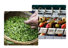 Load image into Gallery viewer, SLIM CARD HOLDER - ORANGE
