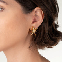 Load image into Gallery viewer, Star Anise Earrings
